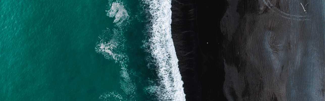 CI Digest Banner Alt Text