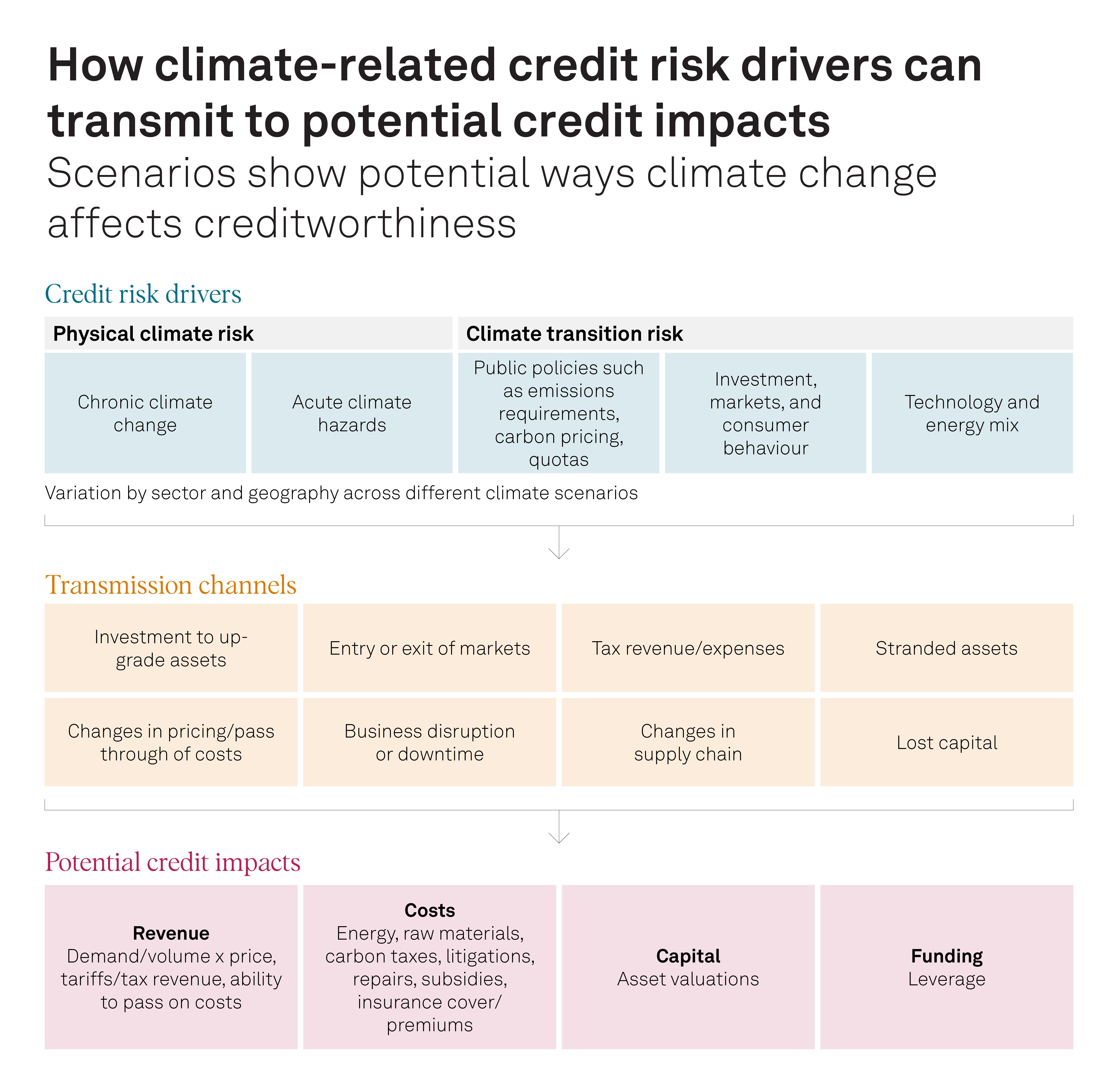 Sustainability Insights